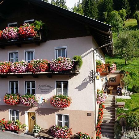 Musikhof Lexer Appartement Liesing Buitenkant foto