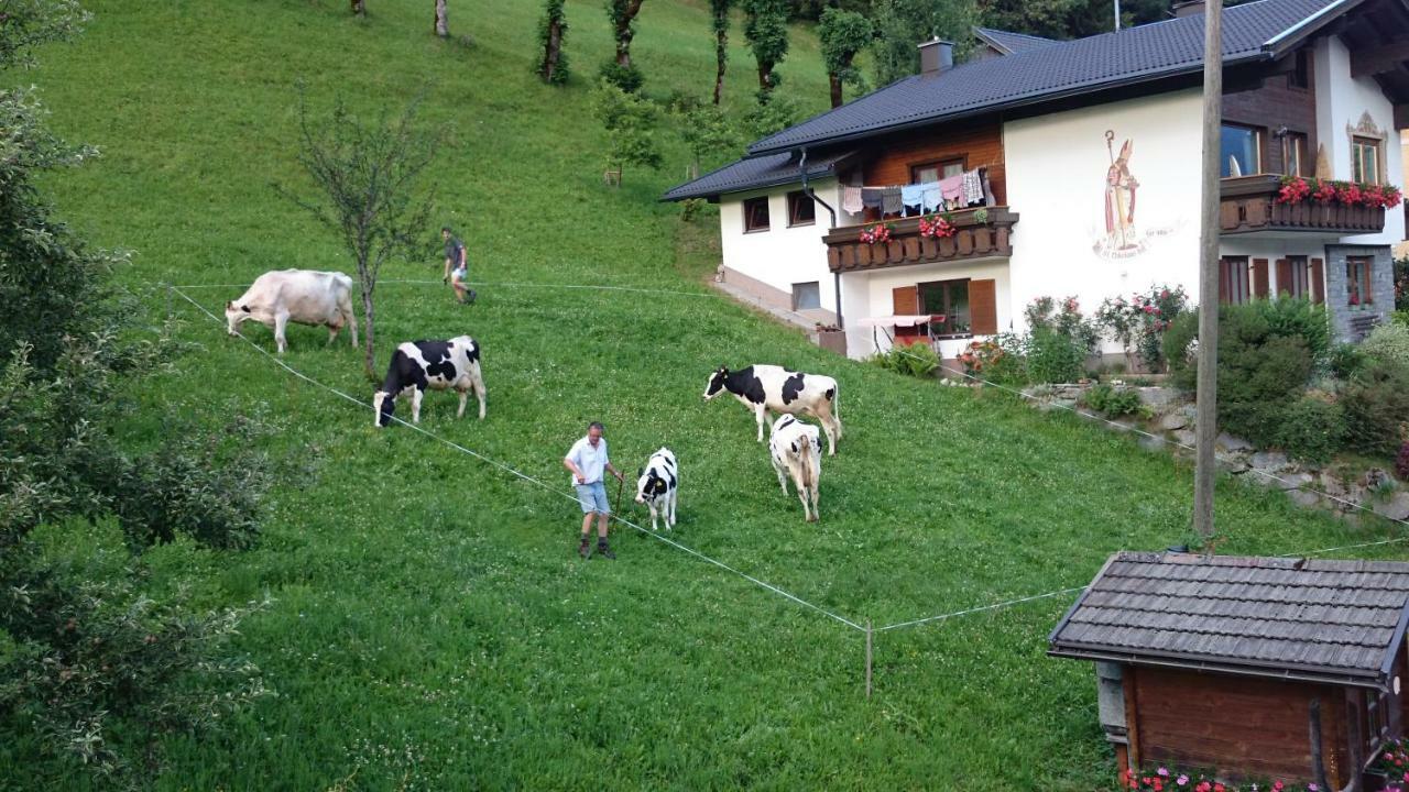Musikhof Lexer Appartement Liesing Buitenkant foto